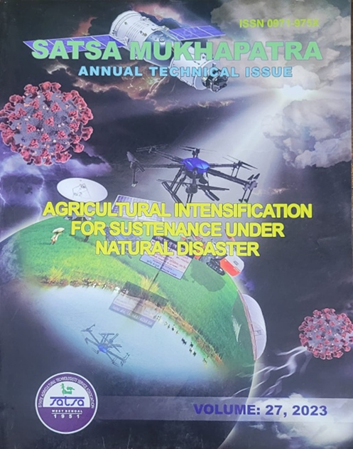 SATSA Annual Technical Issue Vol: 28 cover