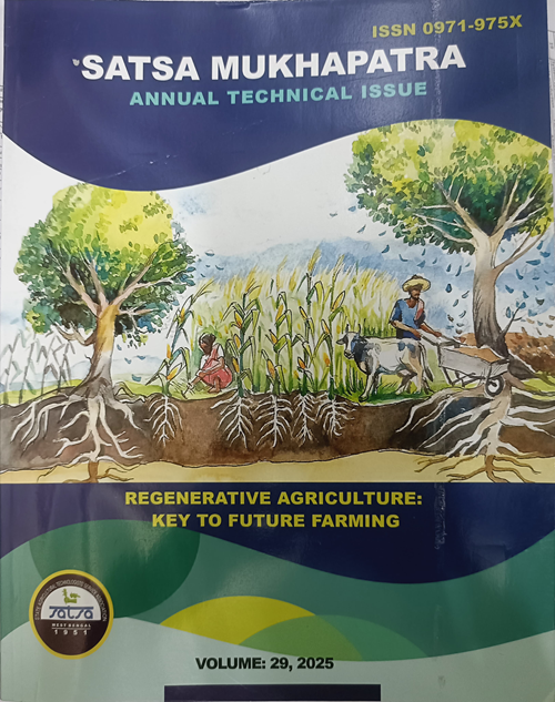 SATSA Annual Technical Issue Vol: 29 cover